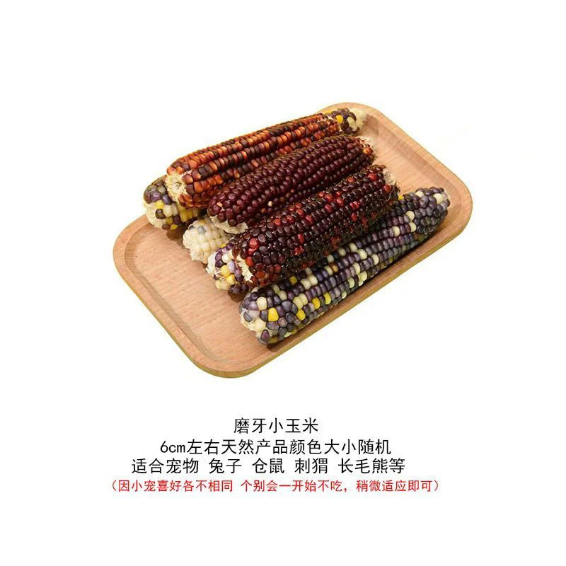 仓鼠磨牙小玉米棒金丝熊爱吃零食宠物适口性丰富大号粗纤维营养