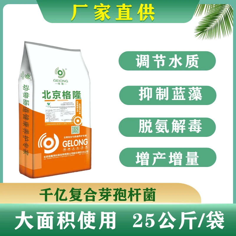 GELONG/格隆千亿枯草杆菌水产养殖鱼虾蟹肥水降氨氮鱼虾蟹水质