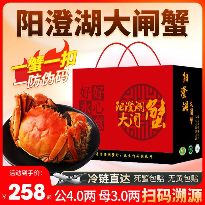 【活蟹现发】【正宗阳澄湖大闸蟹】鲜活螃塘蟹特大公4.0两母3.0两8只