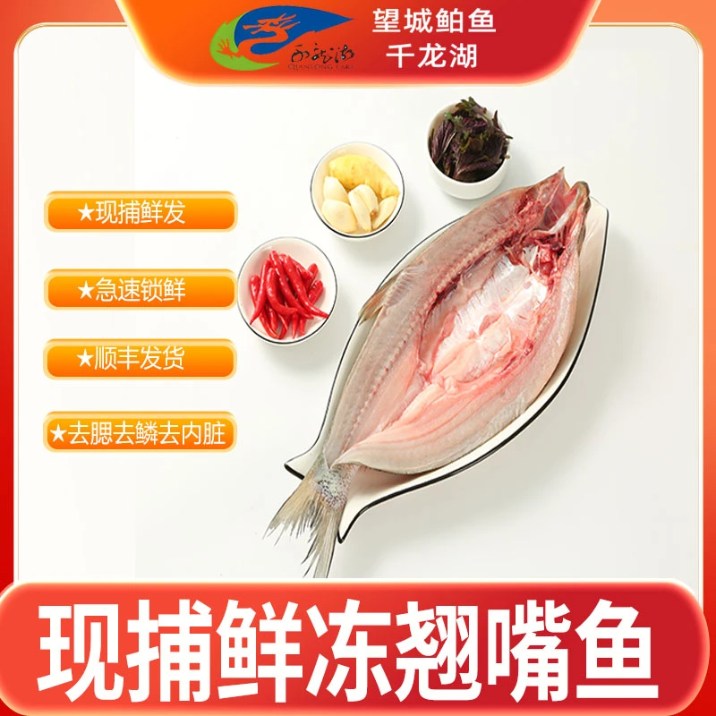 【顺丰冷链】正宗湖南特产翘嘴鱼翘嘴红鲌现捕鲜冻肉质鲜嫩
