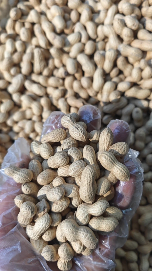 原味小花生袋装休闲零食干货即食营养密封食用香脆去壳产品年货