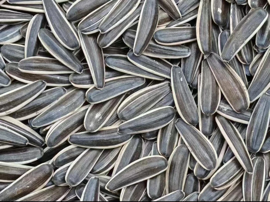 赤峰363原味手工现炒葵瓜籽瓜子产品休闲零食年货囤货