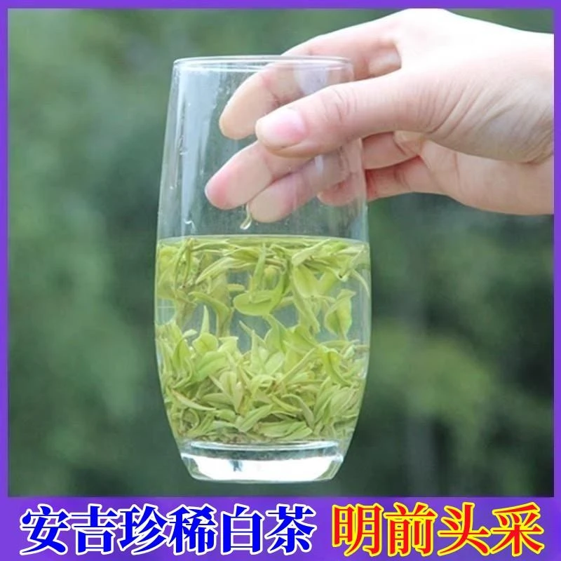 白叶一号珍稀白茶特级2023年明前新茶高档正品特级简易包装