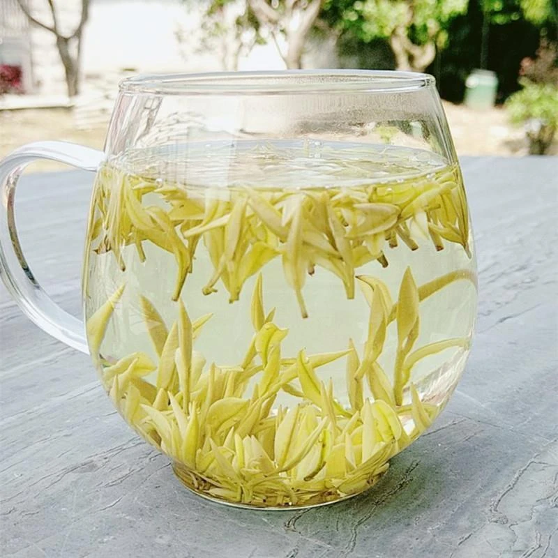 黄金芽奶白茶明前特级罐装2023年新茶极白开园头采皇金芽500g