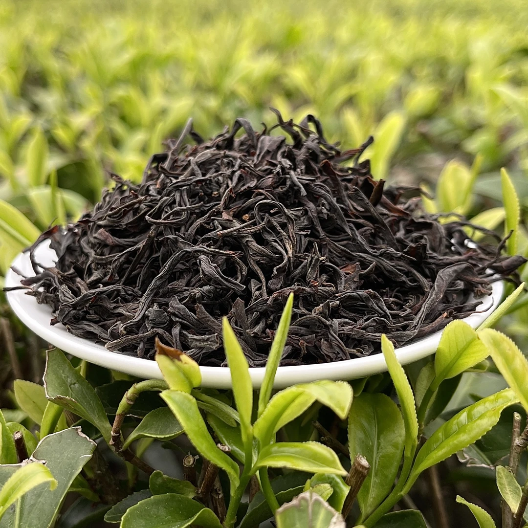 【小种】头春头采野茶小种纯纯芽叶花果高香武夷山高山手工采摘好茶