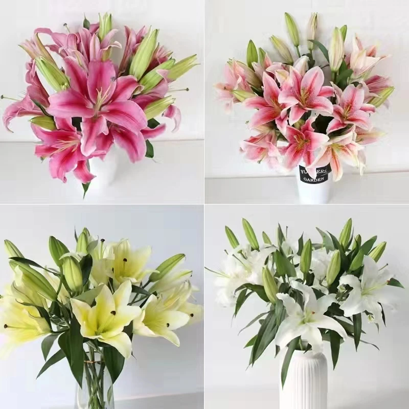云南鲜花-香水百合（收到花剪根醒花、个人原因养不开不售后）大花包