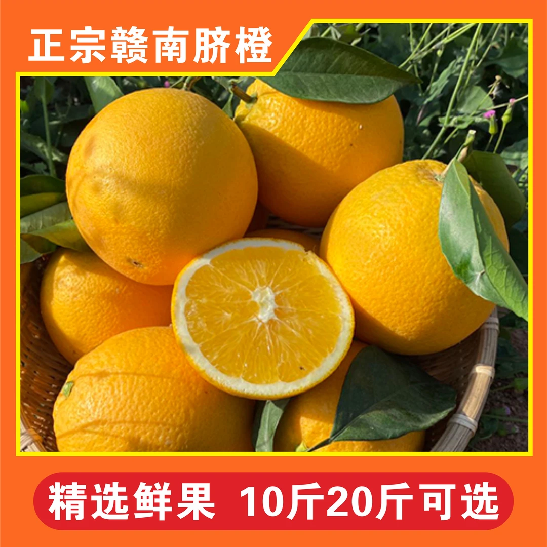 正宗赣南脐橙新鲜现摘 皮薄多汁10/20斤【产地直发】