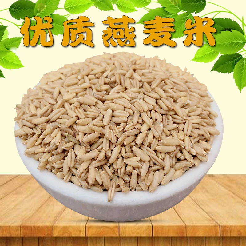 炫料燕麦米中型鹦鹉鸟粮鸟食小太阳玄凤牡丹鹦鹉鸽粮野麦雀麦