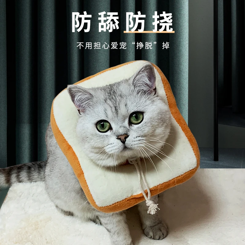 猫咪狗狗伊丽莎白圈幼猫防舔圈头套项圈伊莉莎白圈小猫猫脖圈宠物