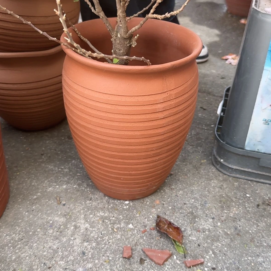 【闪购商品】紫砂花盆口19高25