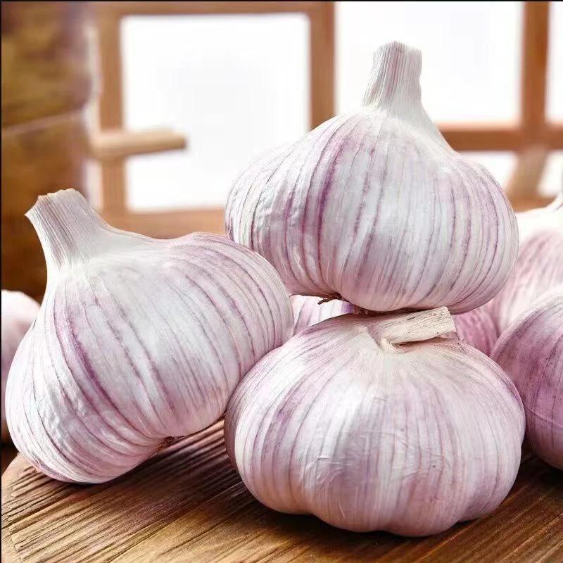 【超低价】2023新干蒜紫皮大蒜金乡应季大蒜头脆嫩特大多瓣3斤包邮