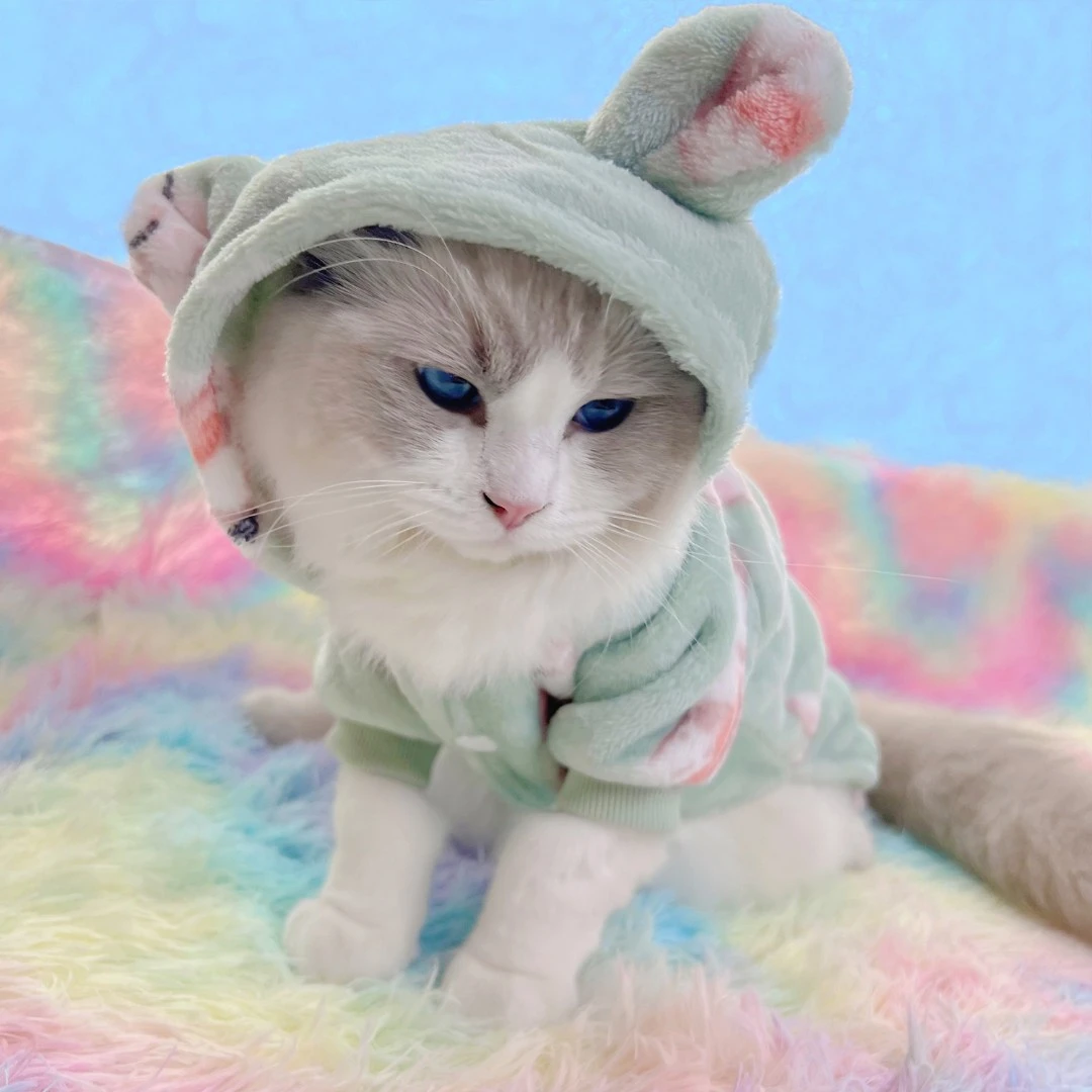 珊瑚绒秋冬款双面绒宠物狗狗猫咪衣服四脚衣小中型犬宠物用品泰迪