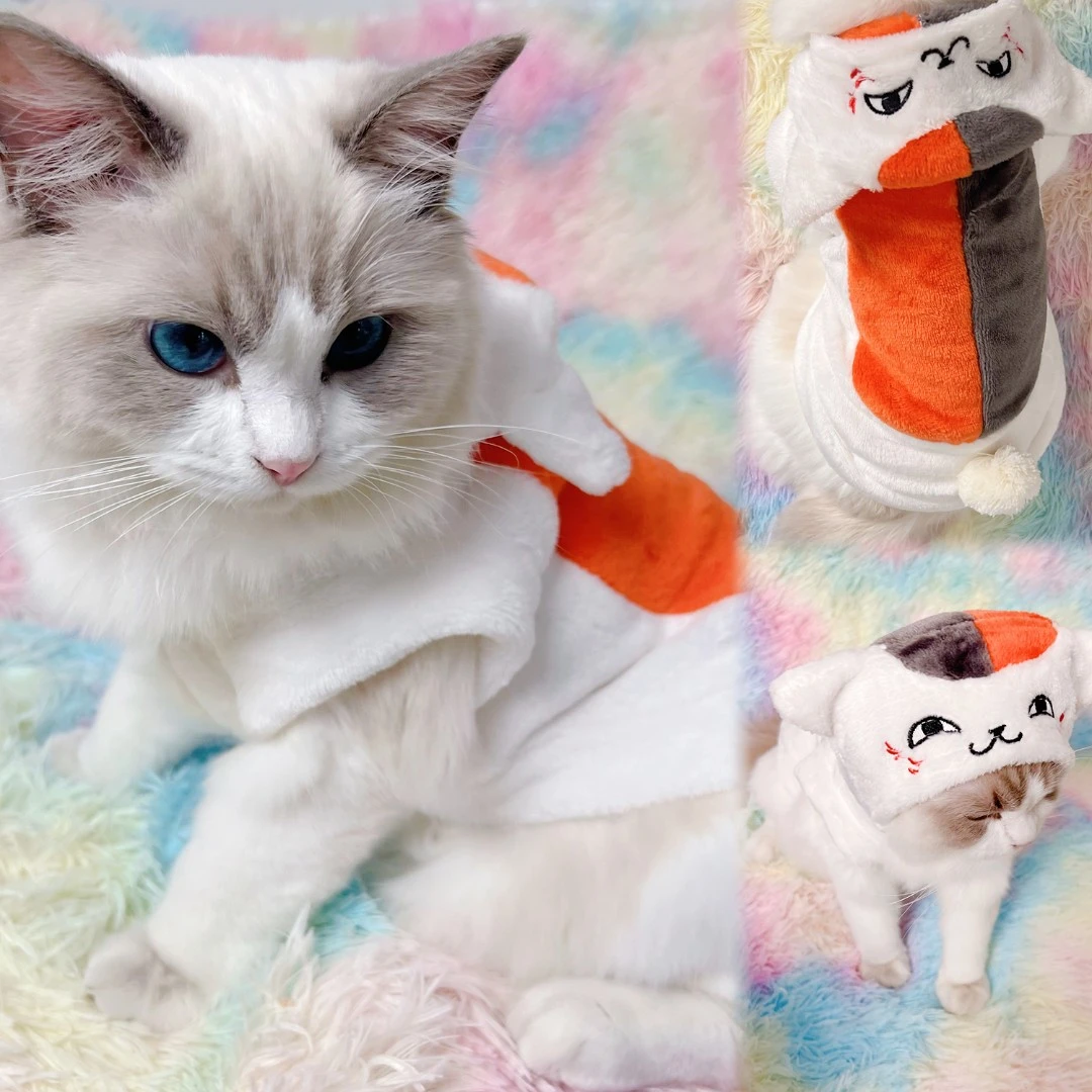 猫咪马甲卡通撞色可爱秋冬带帽双面珊瑚绒宠物狗狗猫咪衣服小型