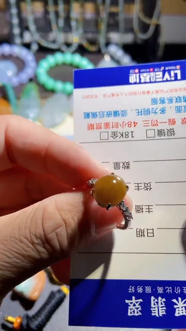 【闪购商品】翡翠颈饰未镶嵌1