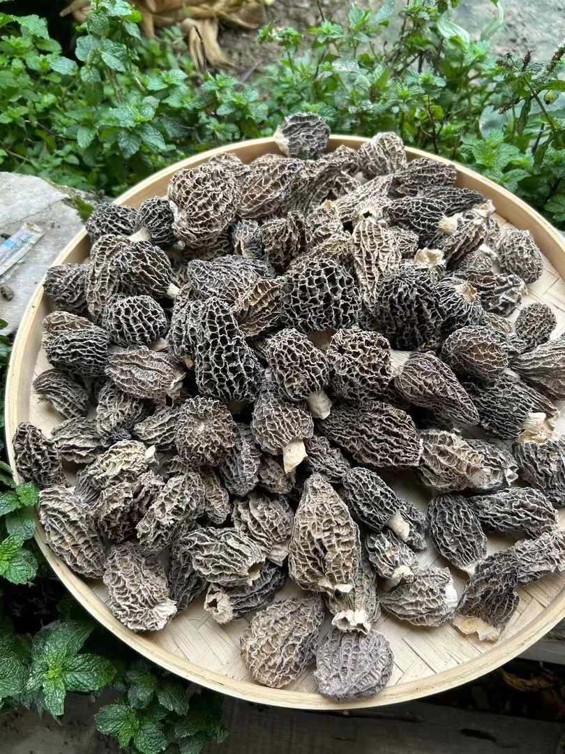 羊~肚~菌、大个，云南野生菌，农夫山货、食用农产品营养品1袋     、