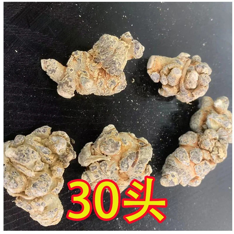 云南文山三七30头带剪口