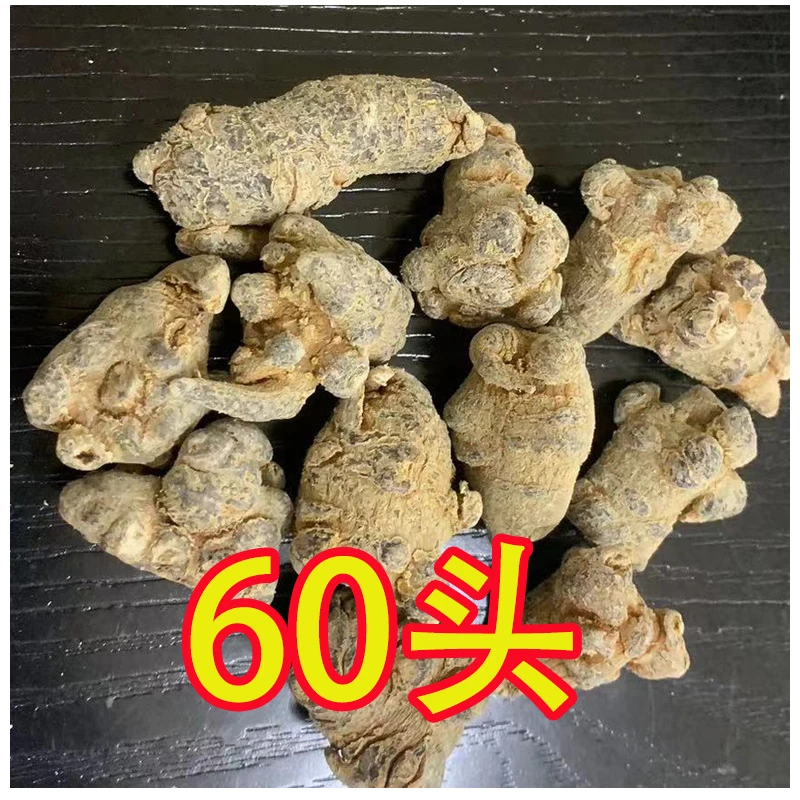 云南文山三七60头