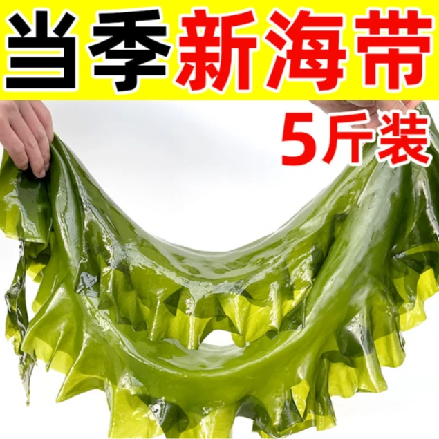 5斤大连头茬优质整颗盐渍海带鲜嫩爽滑凉拌煲汤涮火锅包饭包