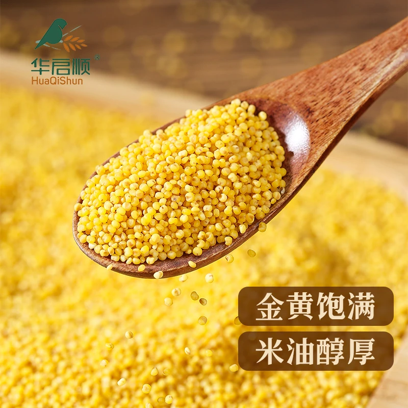 华启顺精品黄小米