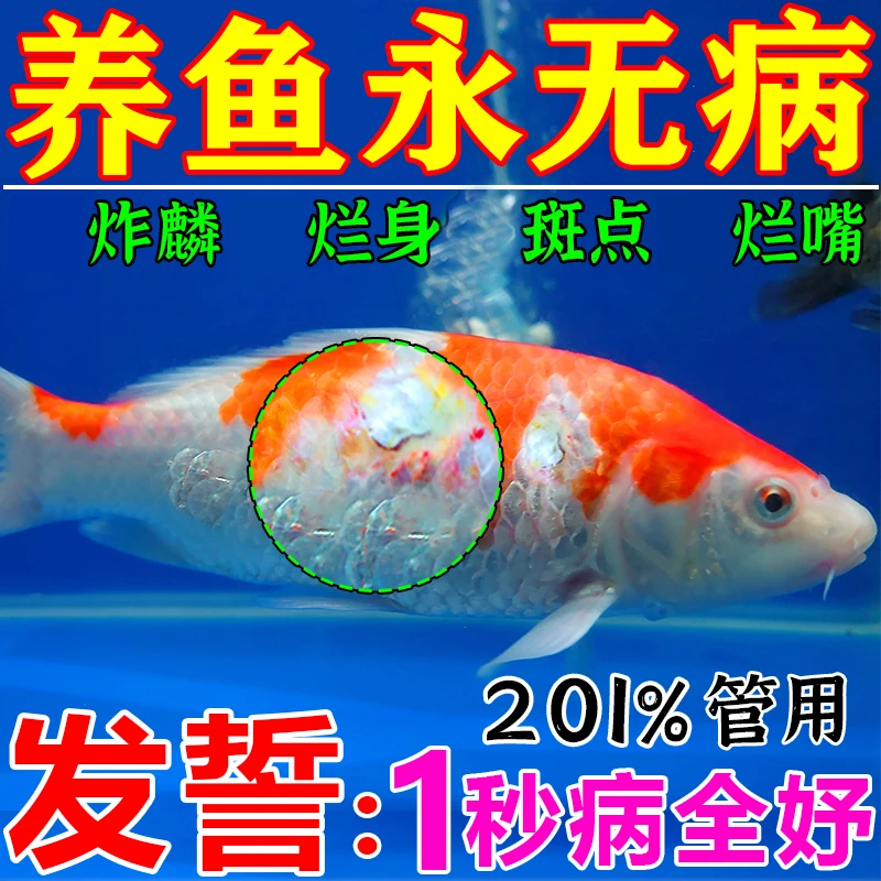 鱼病专用锦鲤金鱼孔雀鱼烂身炸鳞水霉病防治杀菌敌百虫综合康复剂