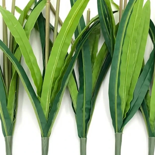 【福利】郁金香花杆   薰衣草花杆