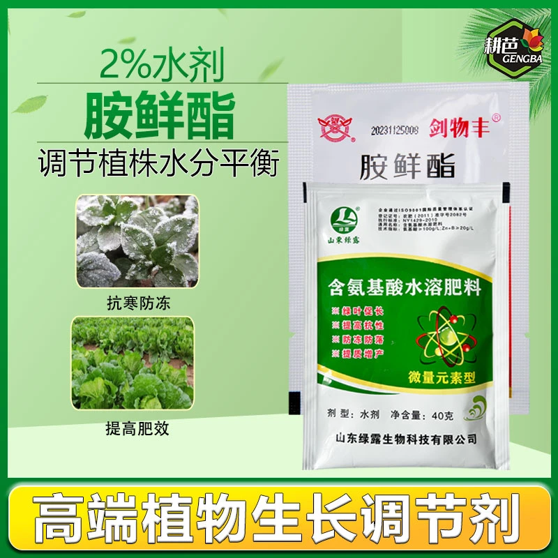 【粉丝专享】氨基酸水溶肥叶绿壮保花保果叶面肥胺鲜酯厂家直销产品