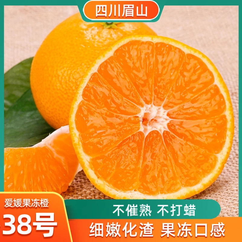 爱媛38号四川眉山正宗果冻橙子手剥橙2/5/8斤现摘现发无核皮薄