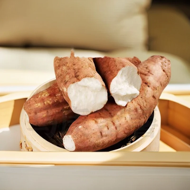 新疆巴仁乡饱满白哈密蜜薯现挖现发新鲜软糯香甜无筋无丝