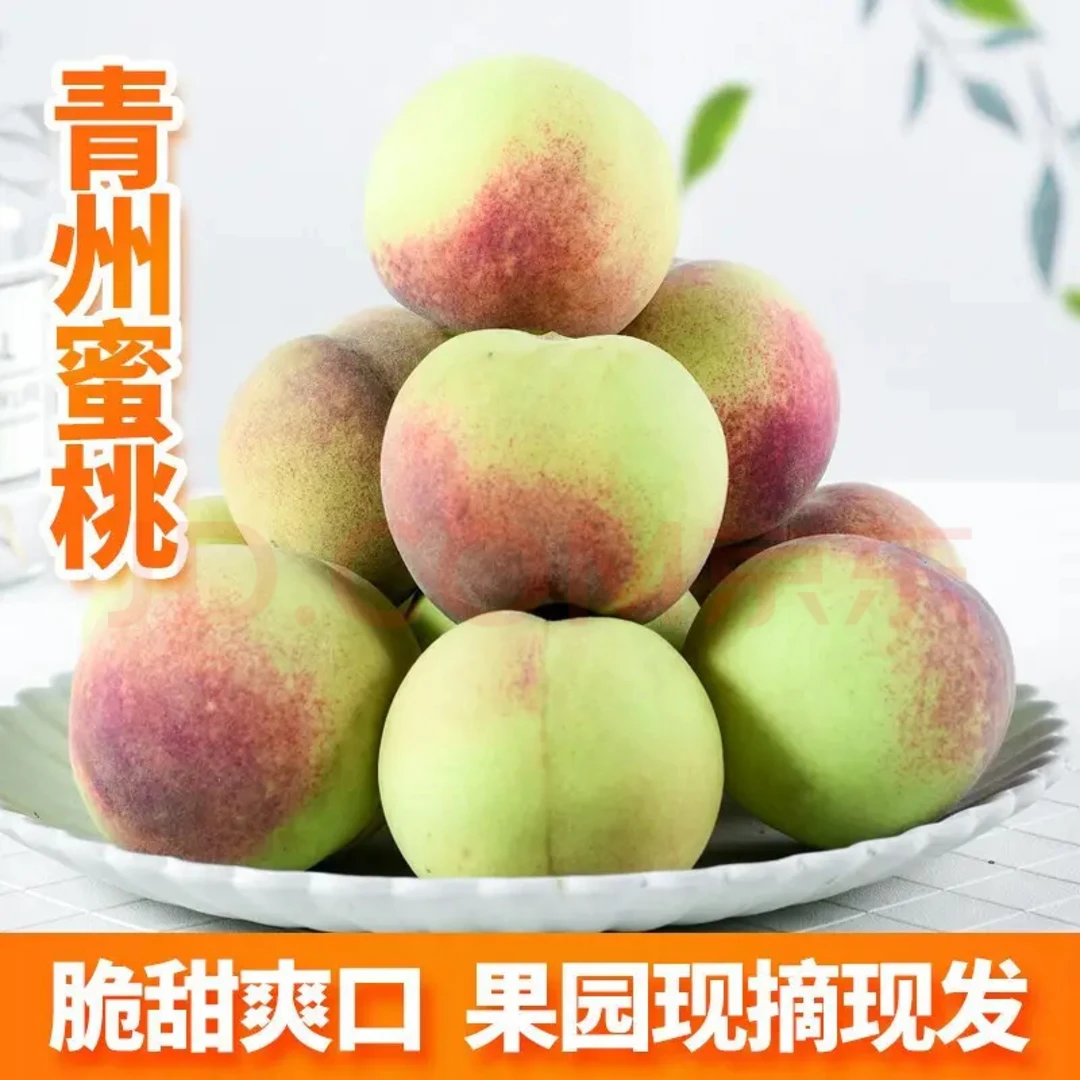 山东青州蜜桃小冬桃5斤装 离核脱骨 硬吃脆甜 软吃软糯香