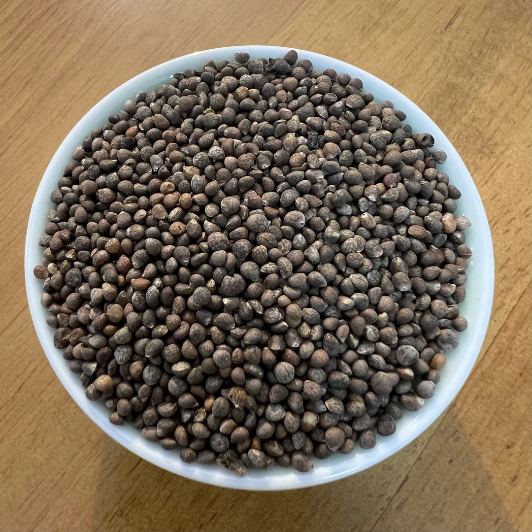 【主播推荐】紫苏籽500克