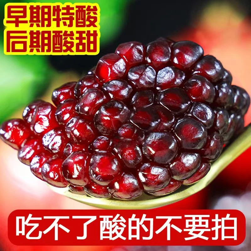 【产地直发】云南蒙自石榴酸石榴黑美人酸石榴
