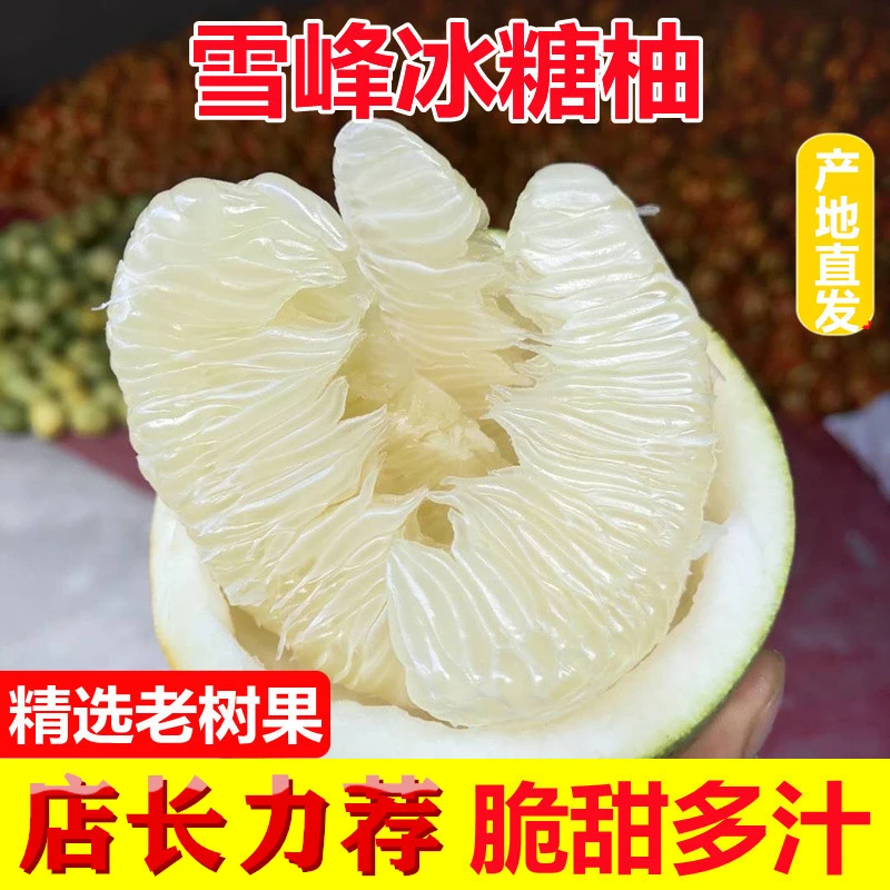 湖南怀化安江30年老树冰糖柚5斤小苦柚新鲜水果脆甜柚高山柚子