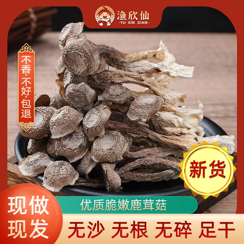 鹿茸菇干货当季新货非特级菌菇脆嫩爽口煲汤干净无沙人工精选