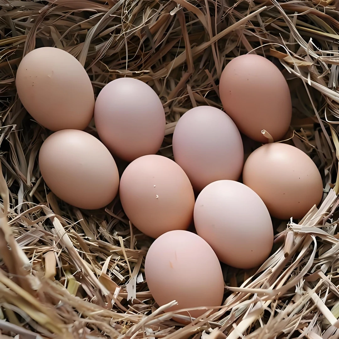 【黔东农仓】农家跑山鸡土鸡蛋30枚