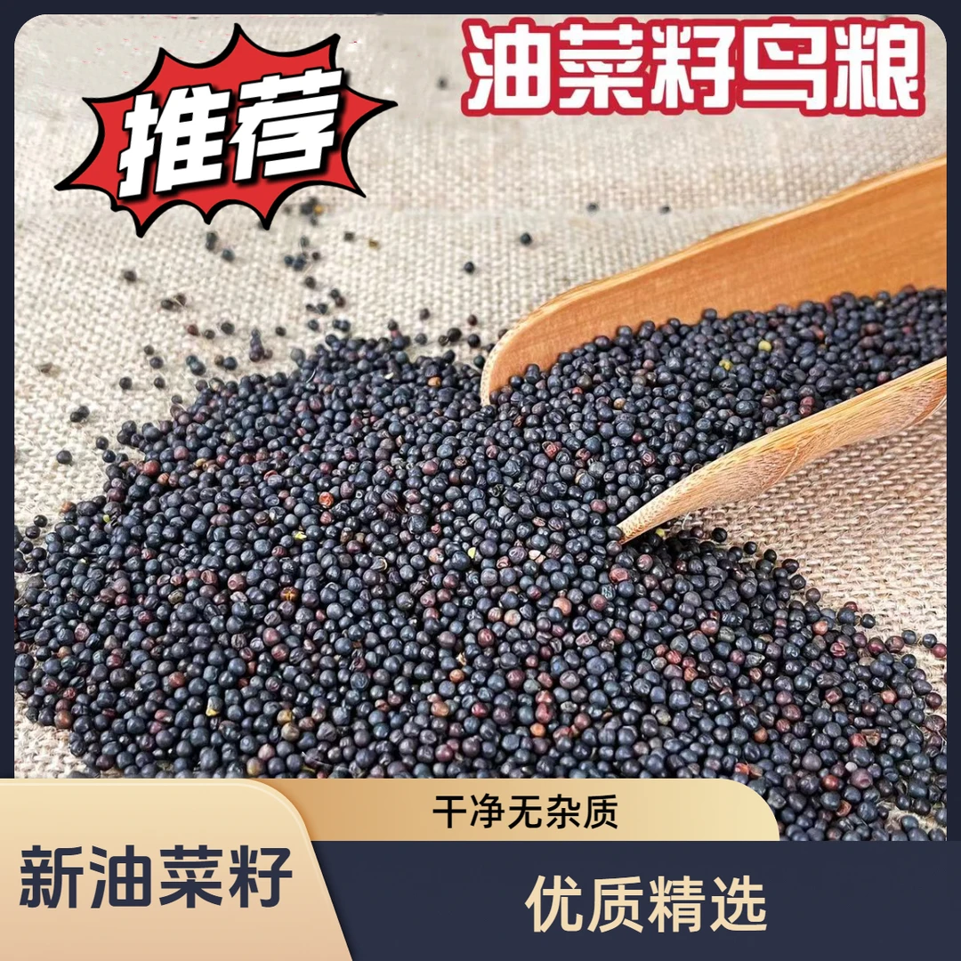 2025年精品新油菜籽鸟粮 玉鸟丝雀金翅麻料文鸟珍珠虎皮鹦鹉鸟食