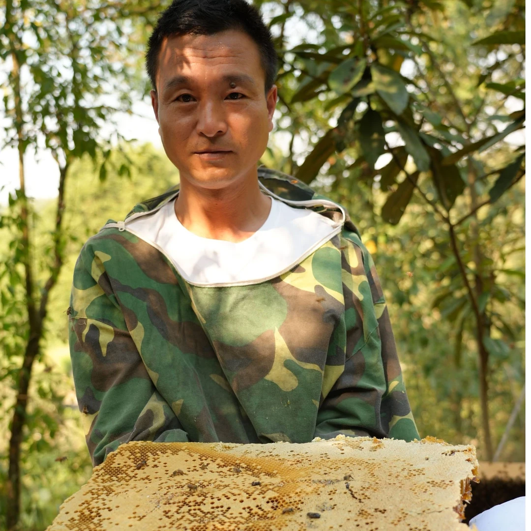 {老张专属2} 湖南深山老式木桶土蜂蜜500克*1瓶