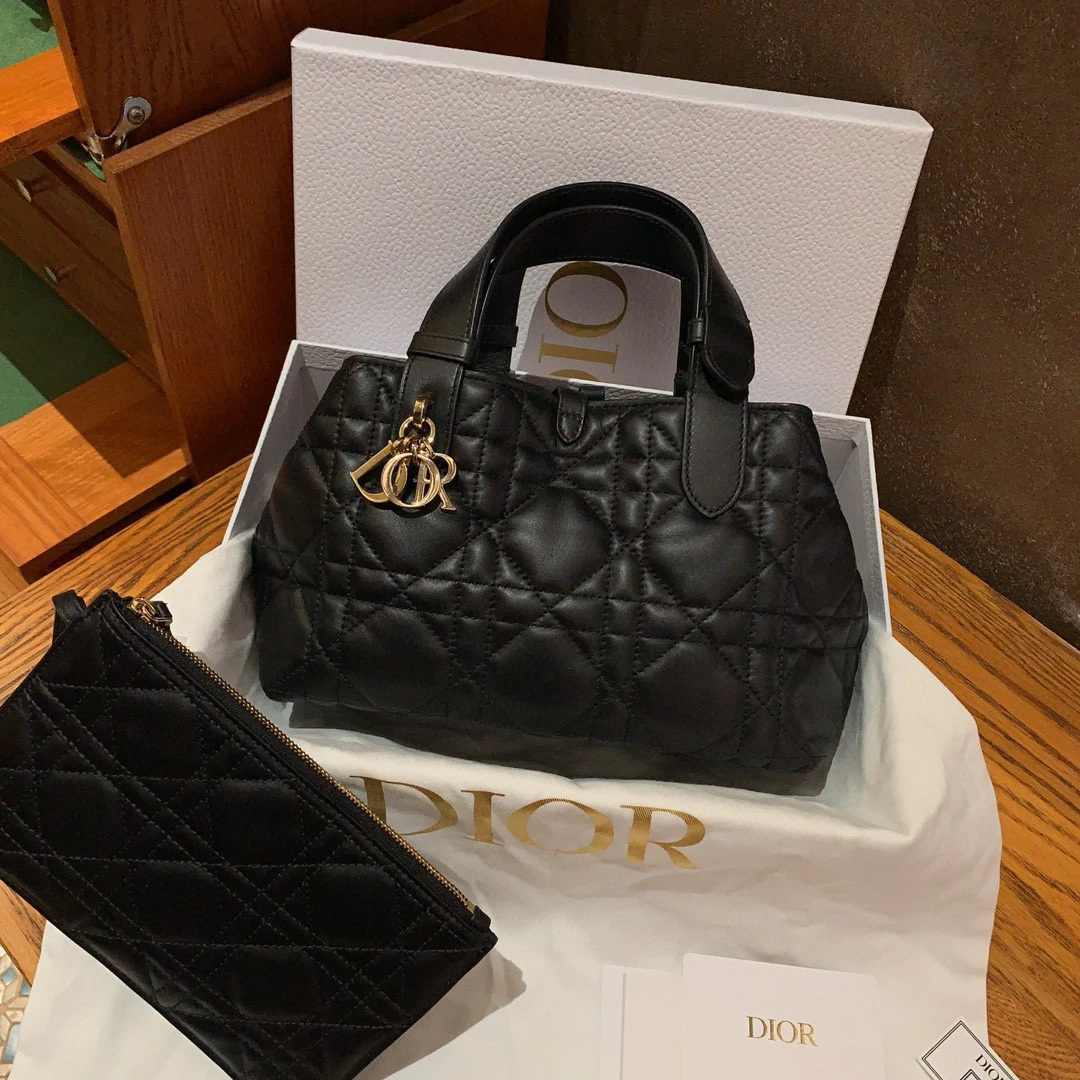 95新 DIOR/迪奥 /Toujours 新款小号包/sp19092