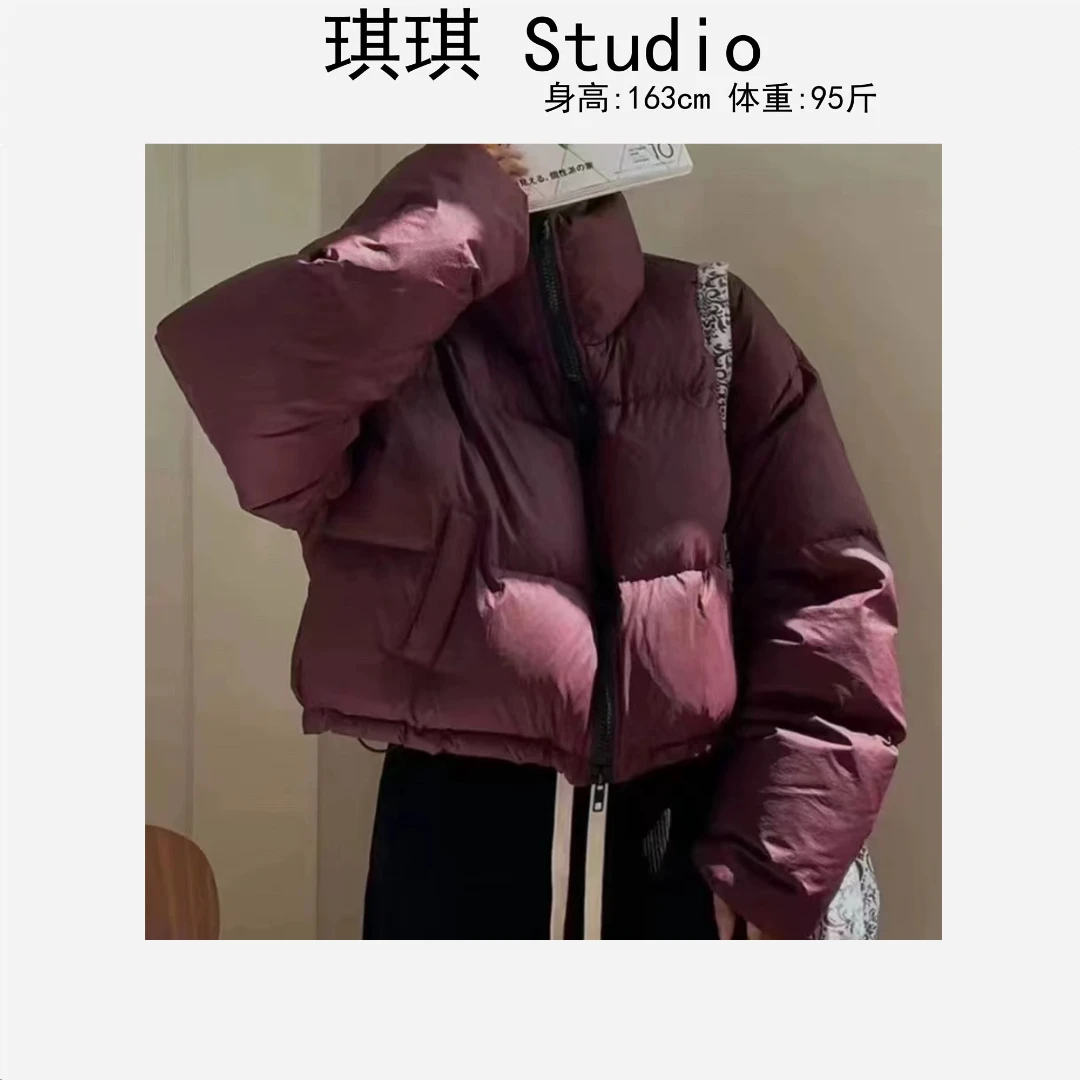 秋冬款简约气质轻奢高级感面包款拉链立领防风摩登羽绒服外套-M