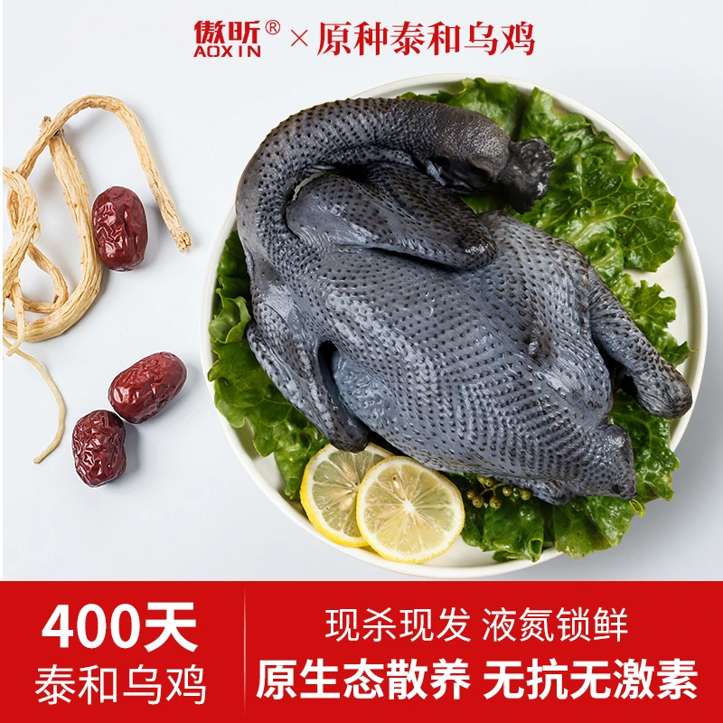400天正宗泰和原种白凤乌鸡新鲜活鸡现杀老母鸡肉质煲汤品质高