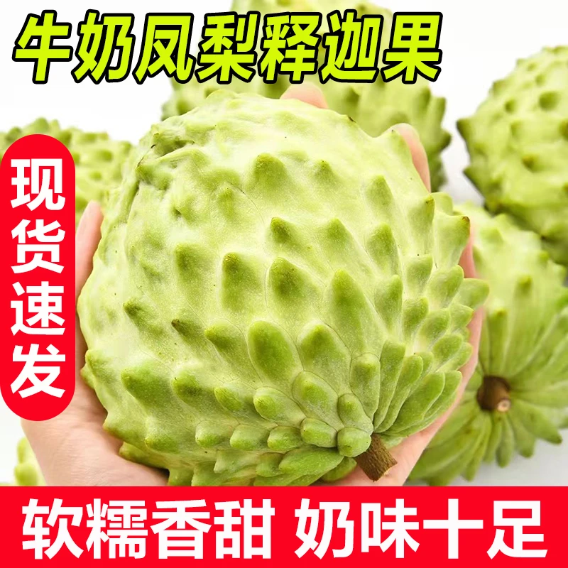 凤梨牛奶释迦果特大果热带新鲜水果包邮林檎番荔枝整箱包邮