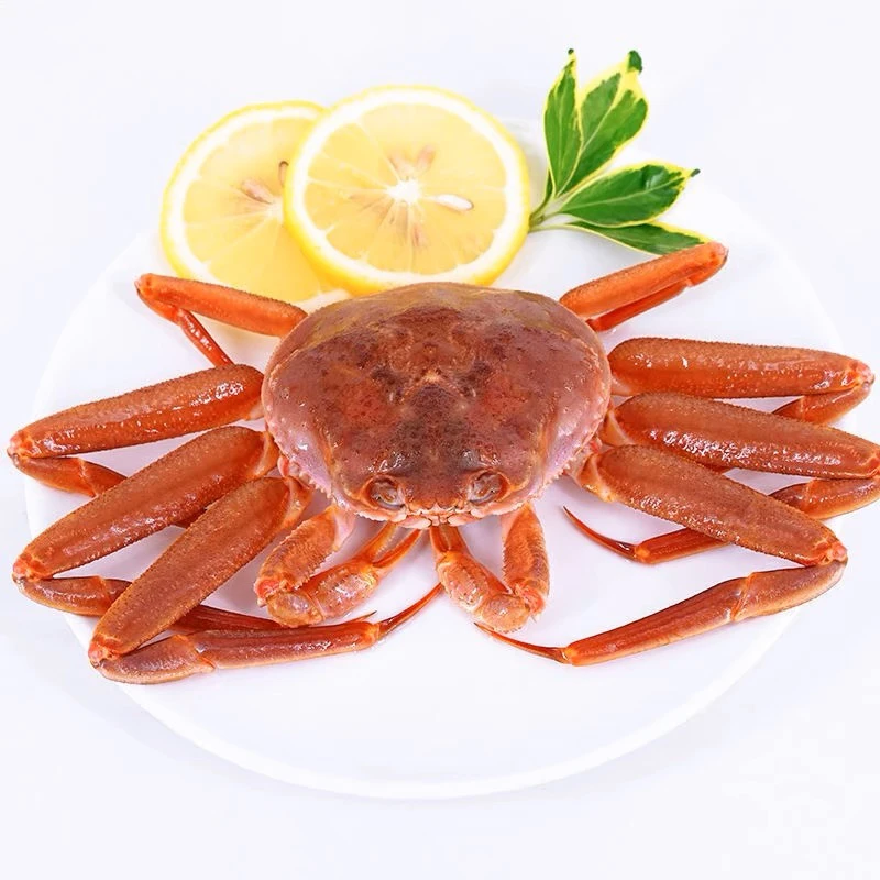 【残腿板蟹1只】1.9-2斤左右（保鲜不保活）