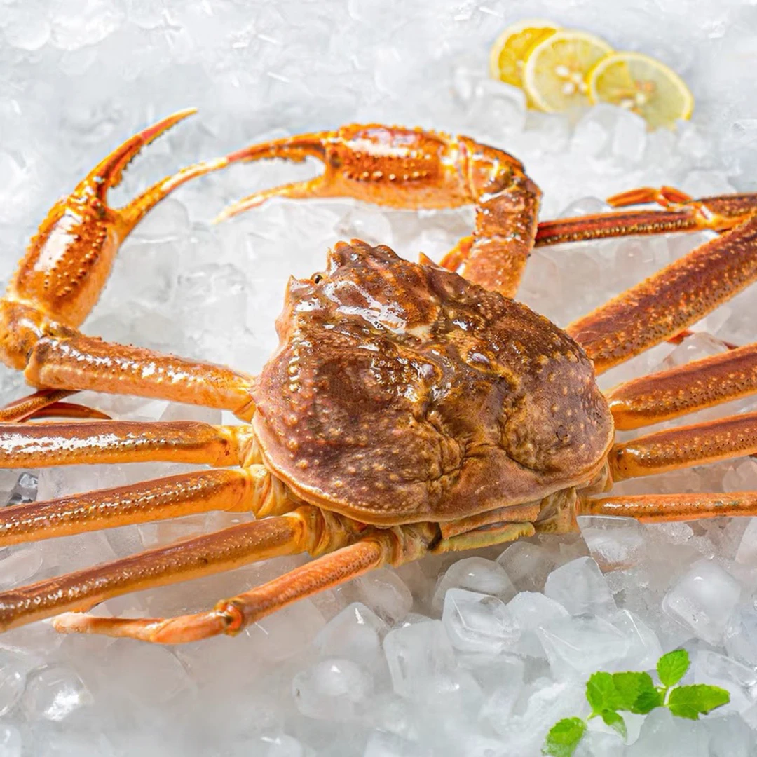 【长春同城】断氧板蟹2只（4.8-5斤左右）