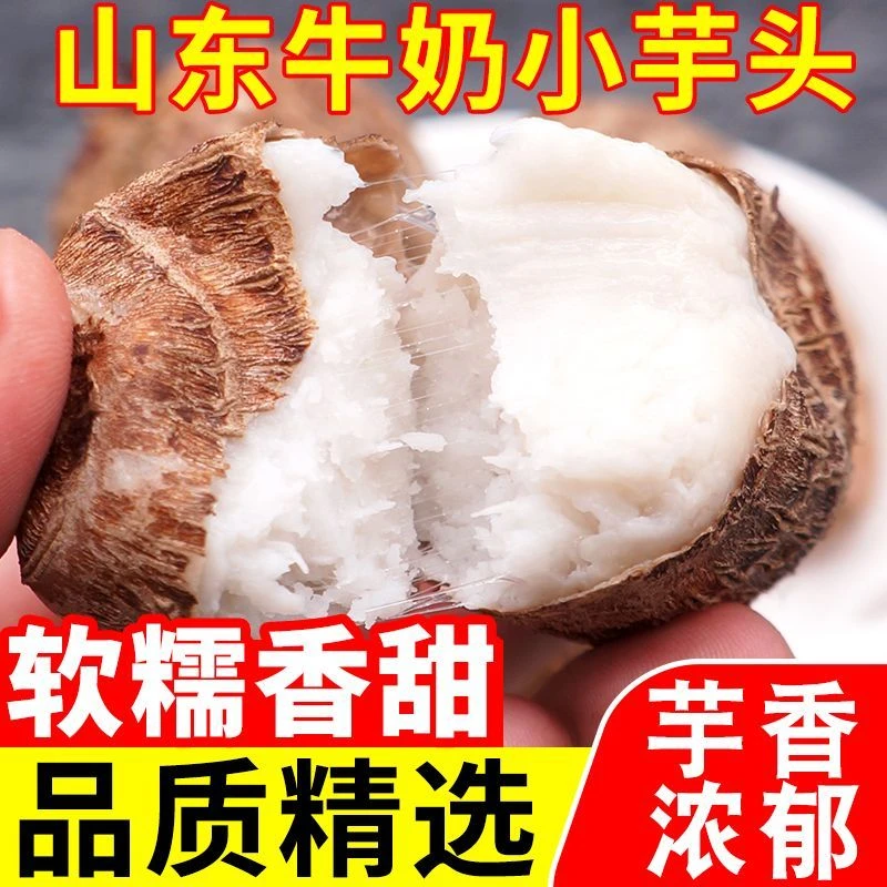 【12.9五斤】山东牛奶芋头新鲜现挖现发5斤奶香芋艿高山自家种植