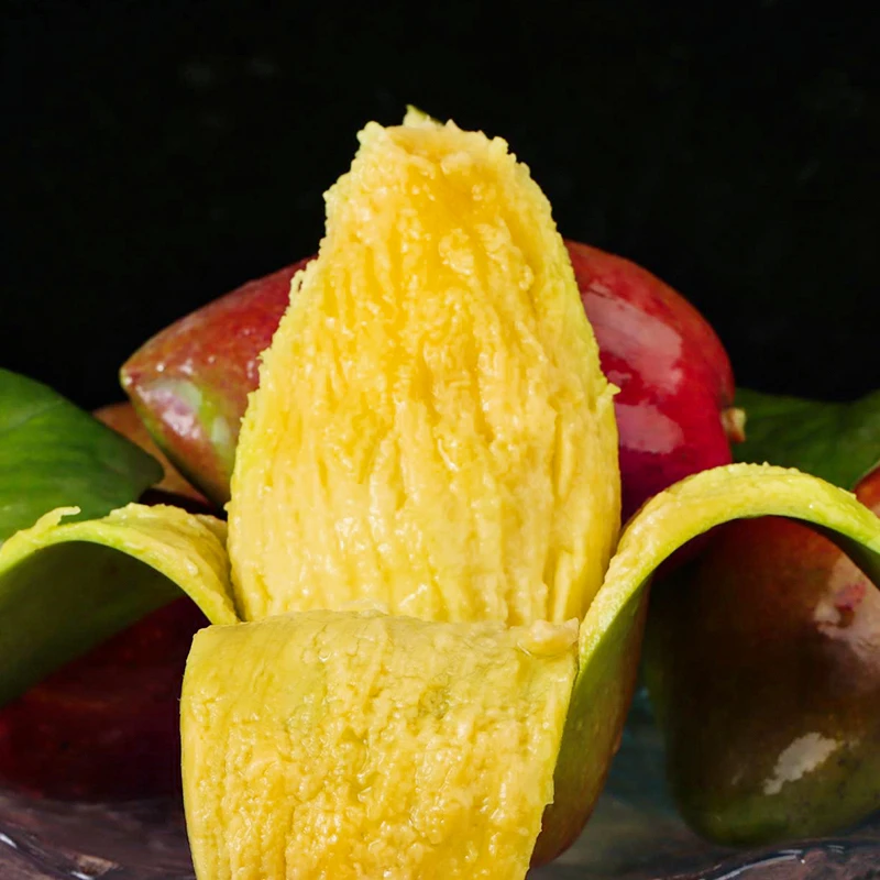 广西贵妃芒5/9斤新鲜水果芒果皮薄核小多汁收到需催熟
