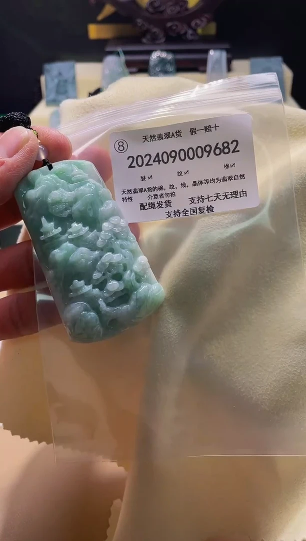 【闪购商品】翡翠颈饰未镶嵌闪购商品8号店202400900030