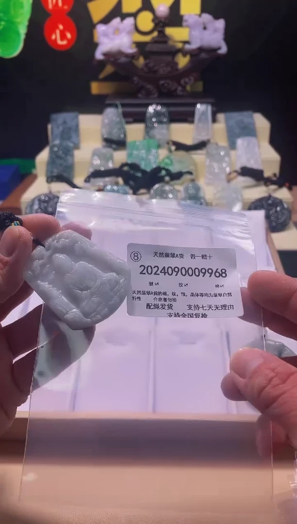 【闪购商品】翡翠颈饰未镶嵌闪购商品8号店2002400100001
