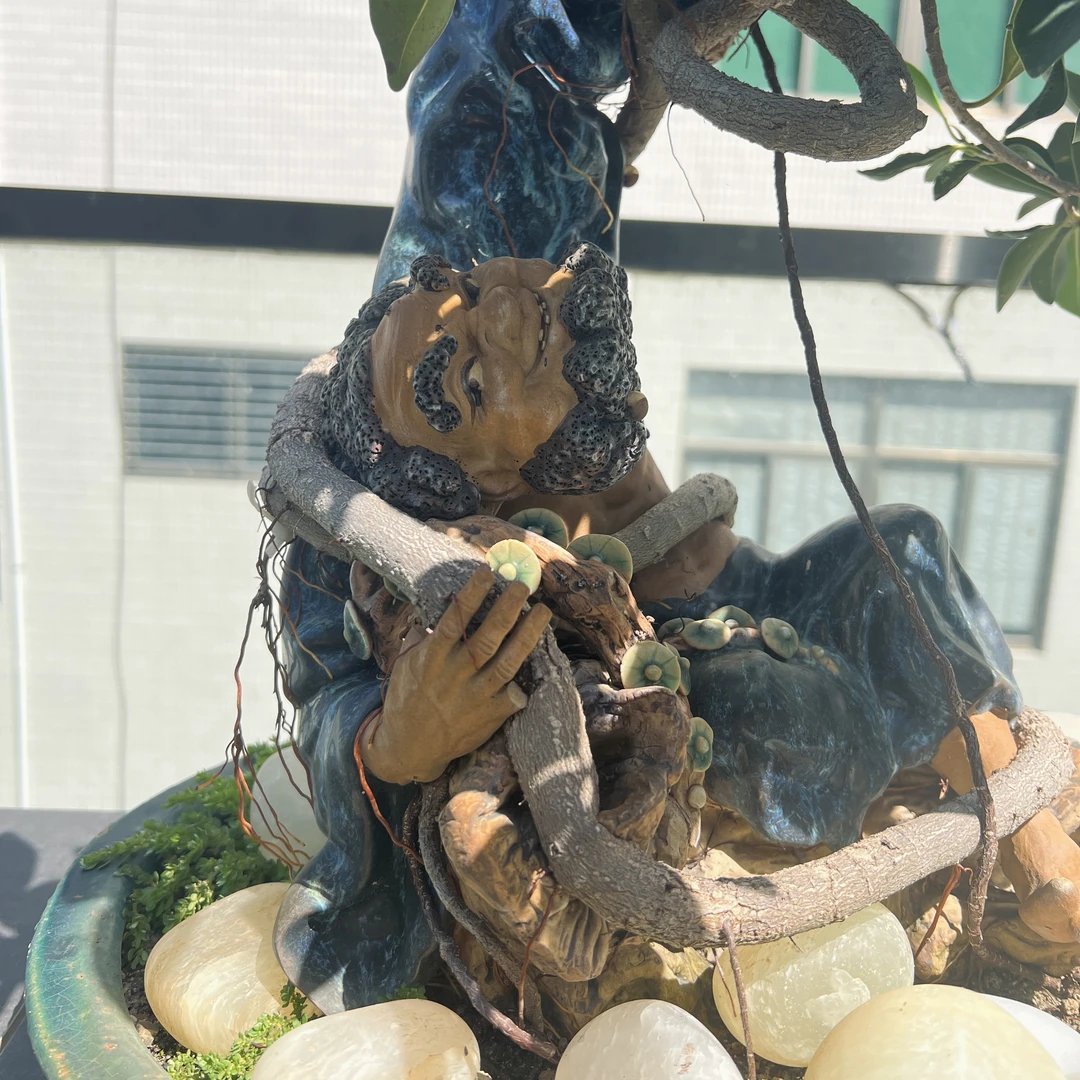 直播间热卖品 旧花盆公仔花盆公仔摆件（图片仅供参考，以实物为准）