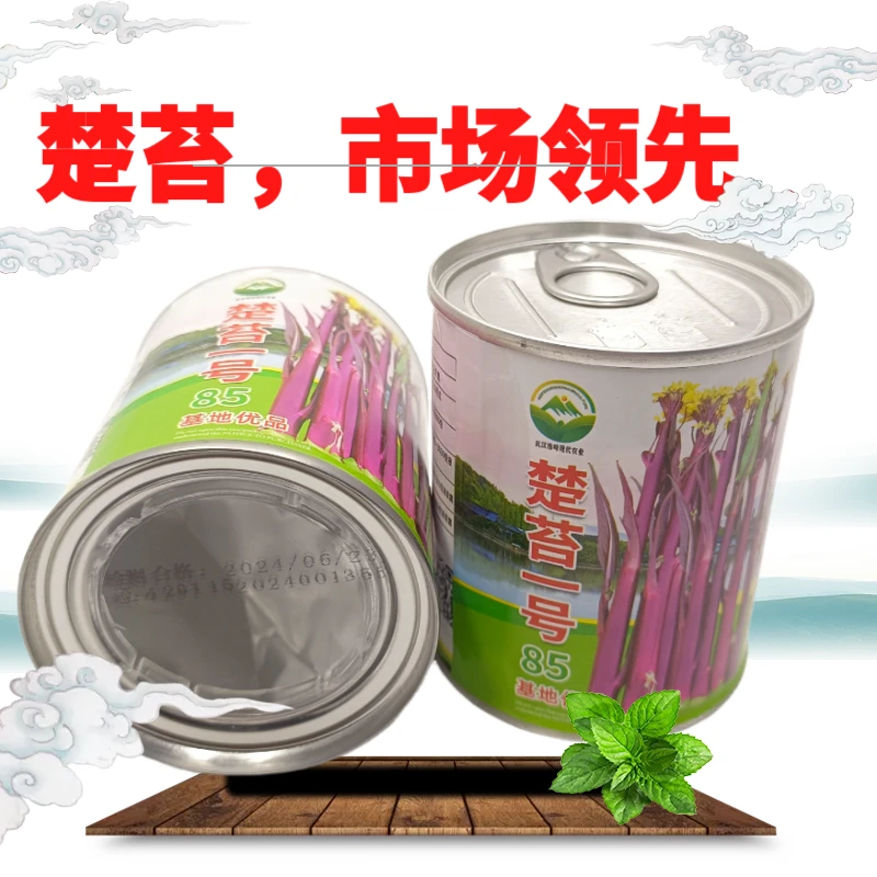 罐装正宗红菜苔种子洪山菜苔种籽晚熟秋季抗病秋播耐寒紫菜苔种子