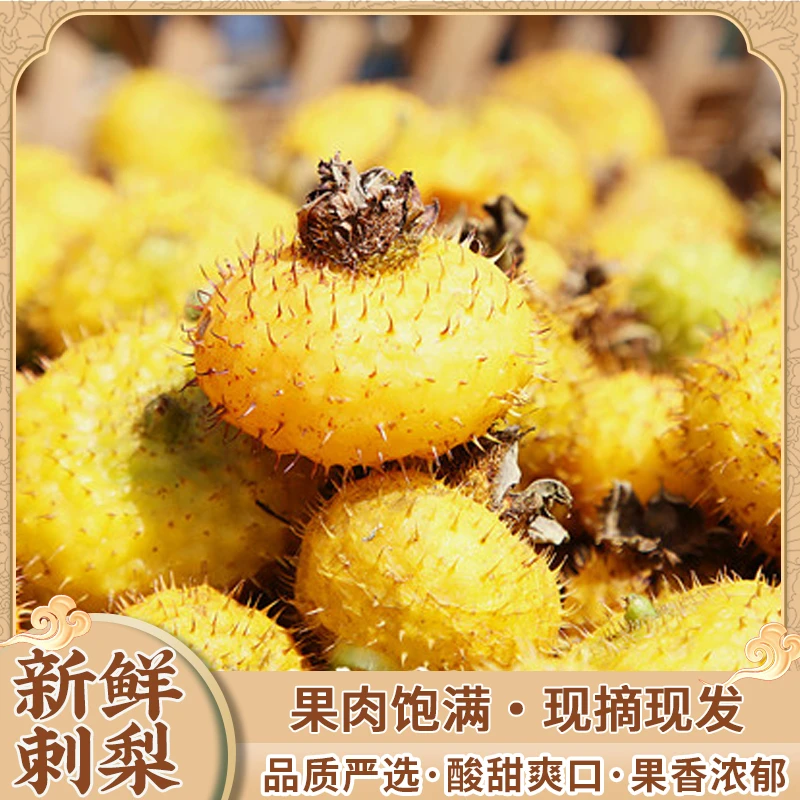 贵州黔南龙里新鲜刺梨现摘现发场地直供包邮到家