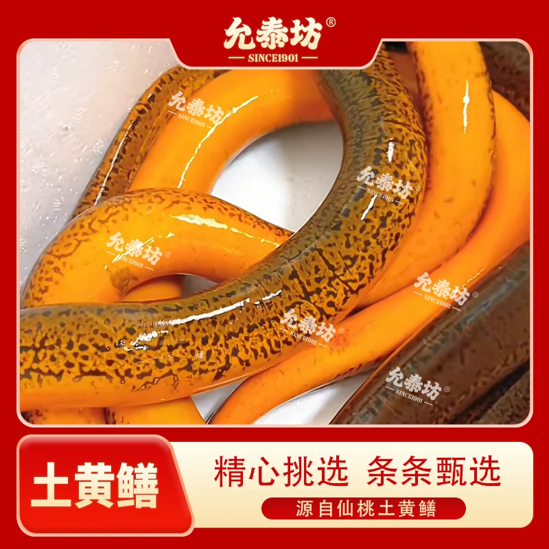 允泰坊优质土黄鳝鲜活食用肉质口感鲜美细嫩鲜活3斤顺丰包邮水产